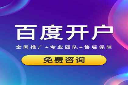 百度推广成功案例分析